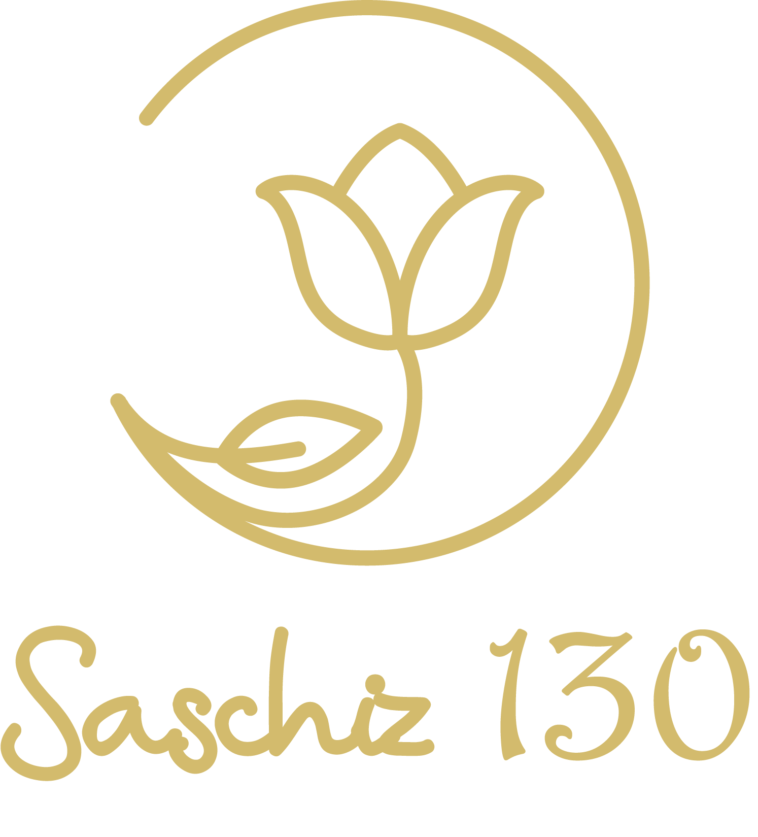 Saschiz130